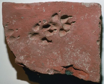 Roman tile with a dog's footprint, 3rd century. Artist: Unknown