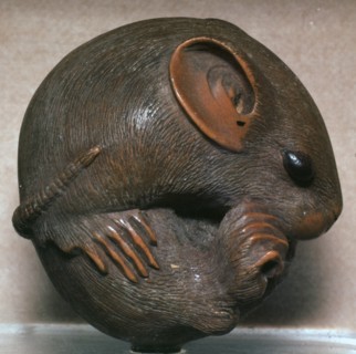 Japanese Netsuke of a rat, 19th century. Artist: Unknown