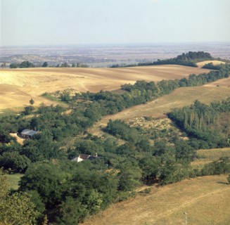 Landscape in Hungary near Pannonhalma monastery. Artist: CM Dixon Artist: Unknown