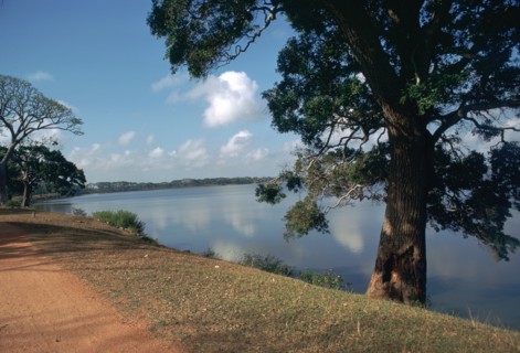 Nuwara Wewa, an artificial lake, in Anuradhapura, 2nd century. Artist: Unknown