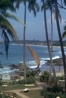 Mount Lavinia in Sri Lanka. Artist: CM Dixon Artist: Unknown
