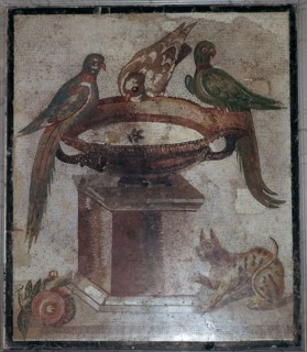 Roman mosaic of birds and a cat at a fountain, 1st century.  Creator: Unknown.