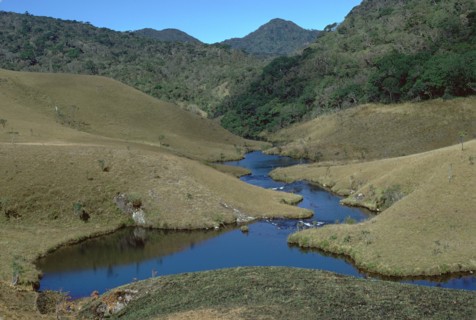 Horton plains grassland and forest. Artist: CM Dixon Artist: Unknown