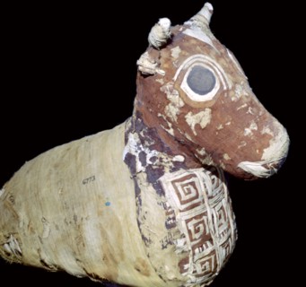 Mummified bull, from Thebes, Egypt, Roman Period, after 30 BC. Artist: Unknown