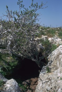 The Cave of Eileithyia. Artist: Unknown