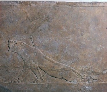Assyrian relief of a wounded lioness from Ashurbanipal, 7th century. Artist: Unknown