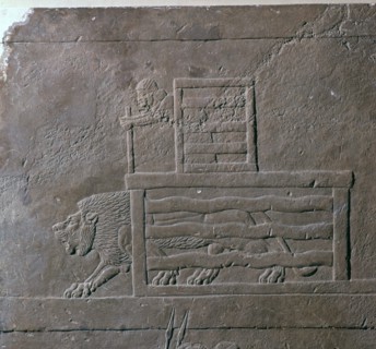 Assyrian relief of a lion being released from a cage for a hunt, 7th century. Artist: Unknown