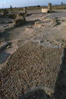 Punic floor mosaic, c.6th century BC. Artist: Unknown