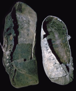 Leather shoes from salt mines, 6th century BC. Artist: Unknown