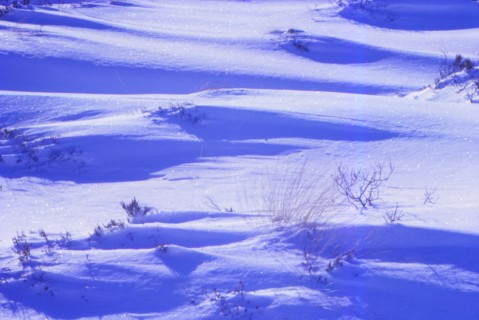Snow surface on Rannoch Moor in February. c1000 ft. above sea,  Argyll, Scotland, 20th century. Artist: CM Dixon.