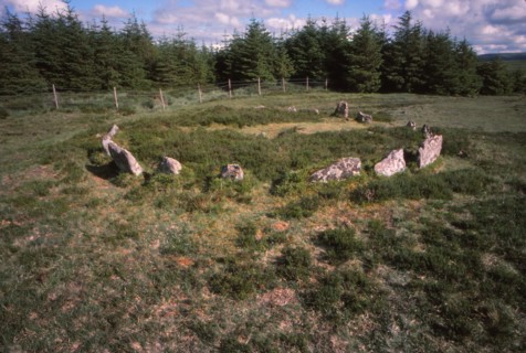 Stone Alignment, 20th century. Artist: CM Dixon.
