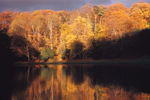 Robin Hoods Wood seen across a lake on the River Skell, North Yorkshire, 20th century.  Artist: CM Dixon.