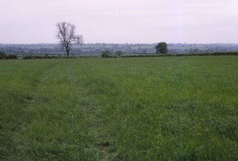 Bosworth Field. Leicestershire, England, 20th century. Artist: CM Dixon.