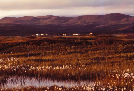 Lake Myvatn, Iceland, 20th century. Artist: CM Dixon.
