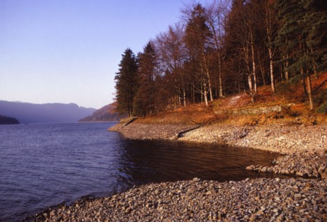 Thirlmere, East Bank Looking North, Cumberland, 20th century. Artist: CM Dixon.