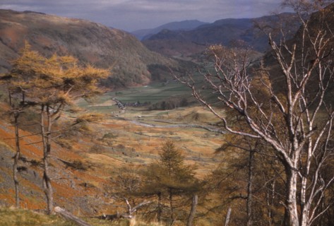 Upper Borrowdale valley in October, Lake District, Cumbria, 20th century. Artist: CM Dixon.