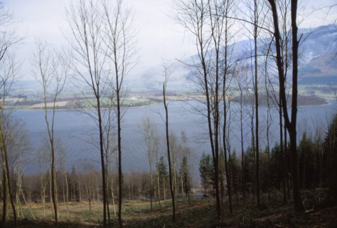 Bassenthwaite Lake from the West, Cumberland, England, 20th century. Artist: CM Dixon.