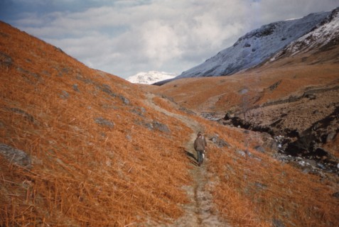 Footpath in Eskdale, Cumberland, February, c1960.  Artist: CM Dixon.