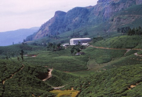 Tea Plantation and Factory, North of Nuwara Eliya, Central Sri Lanka, 20th century. Artist: CM Dixon.
