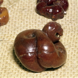 Animal in Amber, Norway, Viking Period, 9th century.  Artist: Unknown.