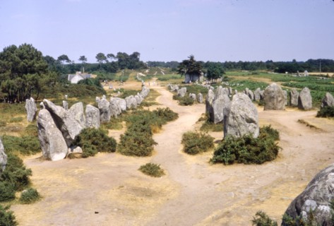 Carnac, Brittany Alignments at Kermario, c20th century. Artist: CM Dixon.