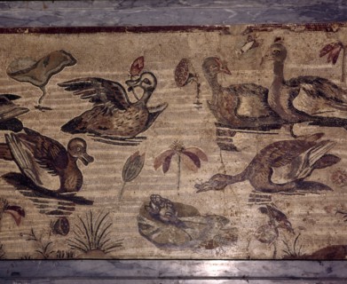 Roman Mosaic from Pompeii of ducks and frogs in a water garden, 1st century. Creator: Dioscurides of Samos.