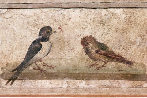 Swallow and Sparrow, Roman wall painting from Boscoreale near Pompeii, 1st century Artist: Unknown.