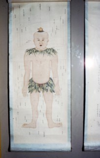 Chinese Acupuncture Chart, Front View. Artist: Unknown.