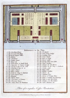 'Plan of a Regular Coffee Plantation', 1813. Artist: John Gabriel Stedman