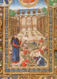 Pharmaceutical garden, 15th century. Artist: Unknown