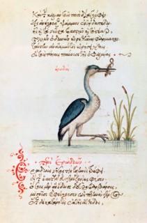 The Heron, 1564. Artist: Unknown