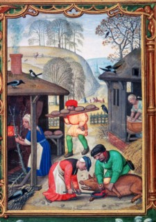 December, slaughtering the pig, 1520. Artist: Gerhard Hoornbach