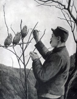 An original trench decoration, France, World War I, 1915. Artist: Unknown