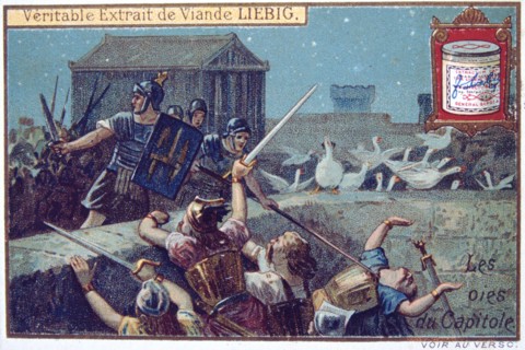 'The Geese of the Capital', Liebig continental trade card, c1900. Artist: Unknown
