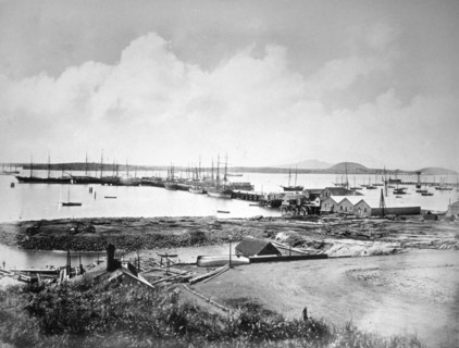 The port, Auckland, New Zealand, c1870-1880. Artist: Unknown