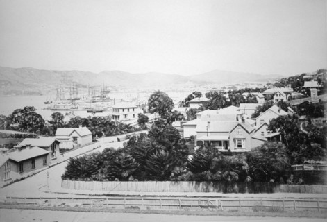 Wellington, New Zealand, 1875. Artist: Unknown