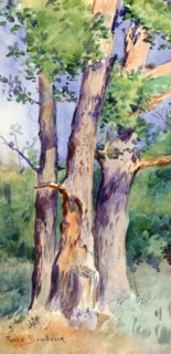 'Study of Trees', c1842-1899. Artist: Rosa Bonheur