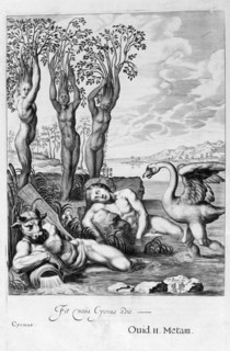 Cygnus transformed into a swan and Phaeton's sisters into poplars, 1655. Creator: Unknown.