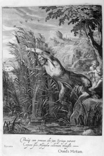 Pan pursues Syrinx who is transformed into a reed, 1665. Creator: Unknown.