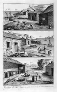 Salting, washing, packing sardines, 1751-1777. Artist: Unknown