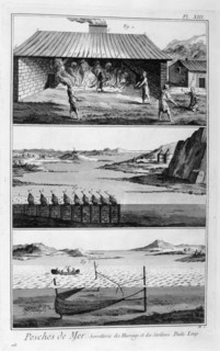 Sea fishing, herring and sardines, 1751-1777. Artist: Unknown