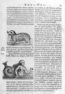 Mythical creatures, 1675.  Artist: Athanasius Kircher