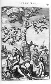 Genealogy tree of Adam, 1675.  Artist: Athanasius Kircher