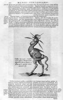Mythical creatures, 1678.  Artist: Athanasius Kircher
