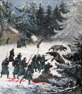 Bear attack, Russia, 1892. Artist: Henri Meyer