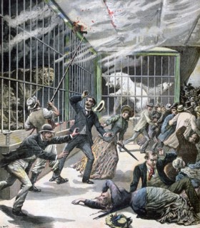 The incident at the menagerie, Montceau-les-Mines, France, 1891. Artist: Henri Meyer