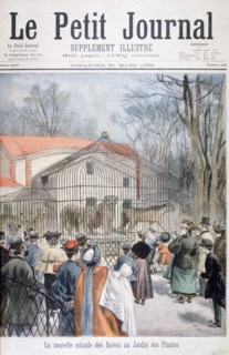 The new wildcat house at the Jardin des Plantes, Paris, 1895. Artist: Oswaldo Tofani