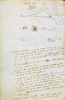 'Drawings of jewels for Salammbô, c1858. Artist: Gustave Flaubert