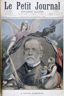 Louis Pasteur, French chemist, 1895. Artist: Henri Meyer