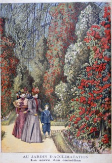 The greenhouse of the camellias, zoological gardens, Paris, 1897. Artist: Henri Meyer